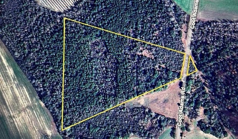 20 Ac Coot Adams Rd, Ashford, AL 36312 - 0 Beds, 0 Bath