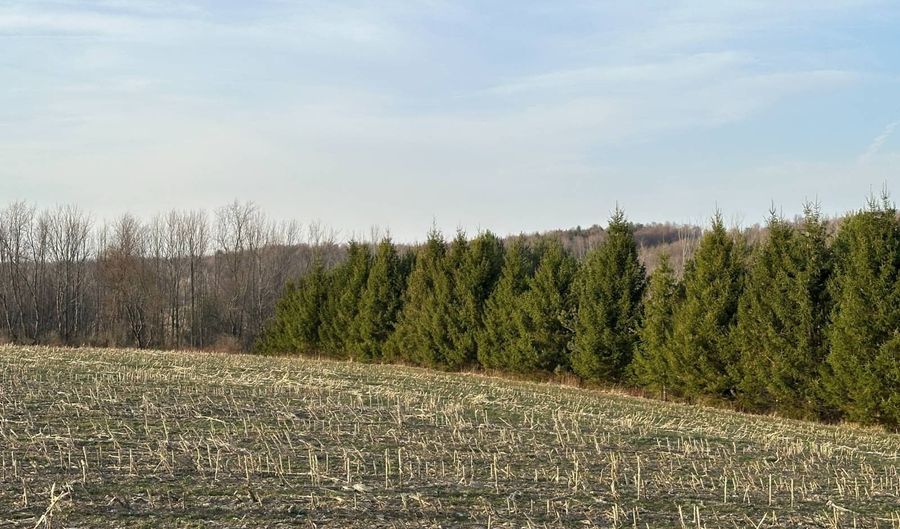 Lot 4 Mud Run Rd, Addison, NY 14801 - 0 Beds, 0 Bath