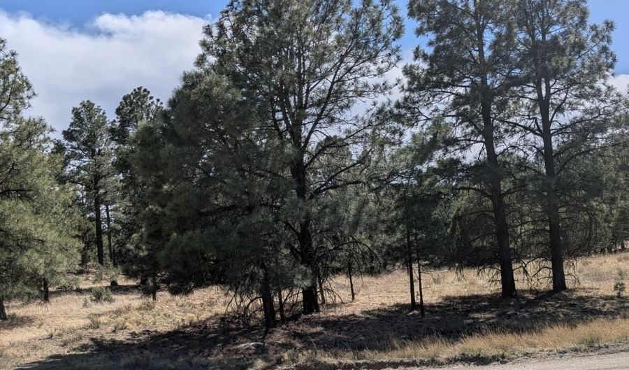 PN TBD BACHE ST & MESITA DR, Alto, NM 88312 - 0 Beds, 0 Bath