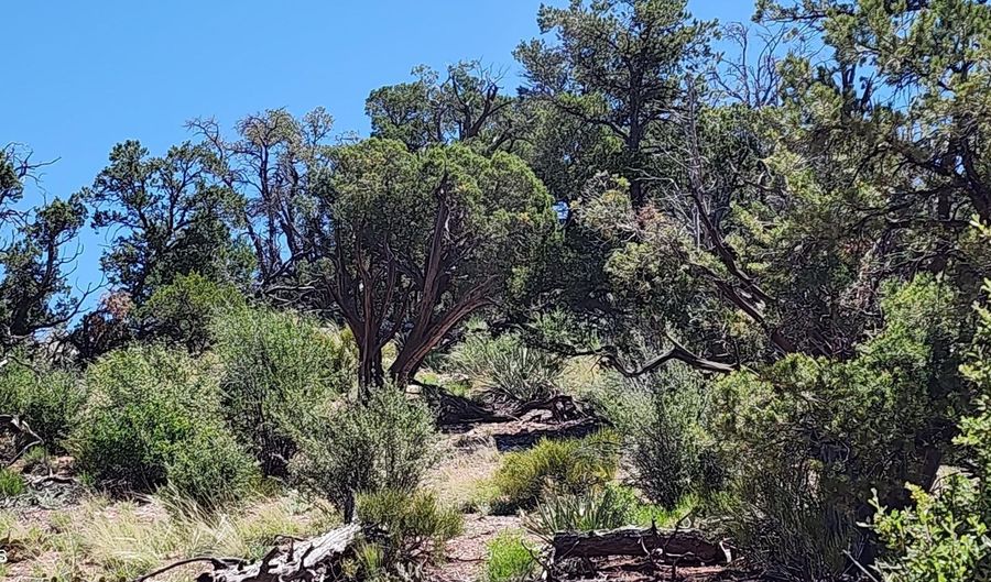 Lot 1 Big View, Ash Fork, AZ 86320 - 0 Beds, 0 Bath