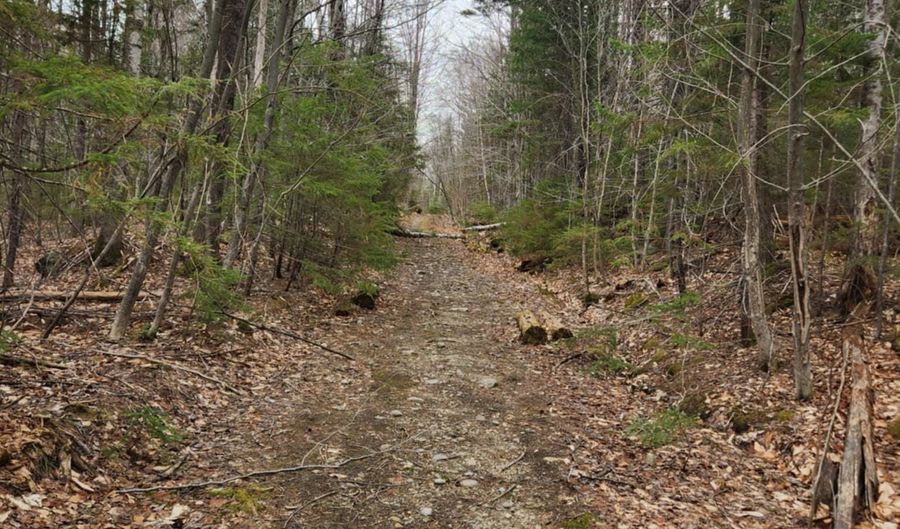 0 Clarks/Woodland Trl 409-4, Alexandria, NH 03220 - 0 Beds, 0 Bath