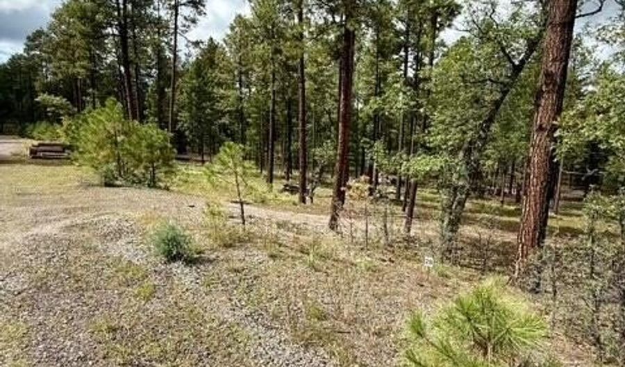 7 Eric Ln, Alpine, AZ 85920 - 0 Beds, 0 Bath