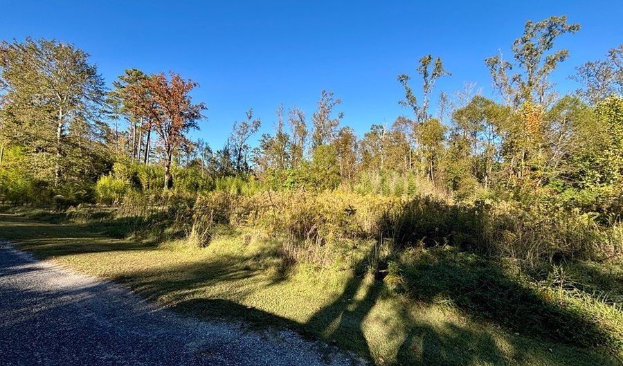 TBD Forest Blvd, Abbeville, AL 36310 - 0 Beds, 0 Bath