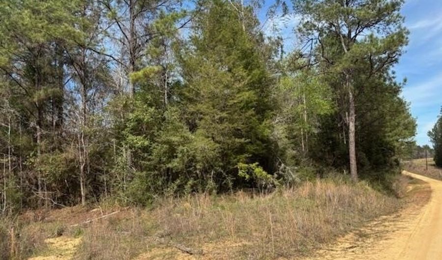 Conecuh River Church Rd, Andalusia, AL 36420 - 0 Beds, 0 Bath