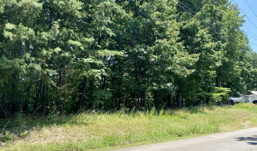 970-972 Iron Gate Dr, Baneberry, TN 37890 - 0 Beds, 0 Bath