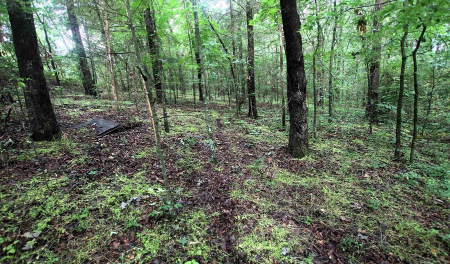 000 AVE 5 SW St, Atkins, AR 72823 - 0 Beds, 0 Bath