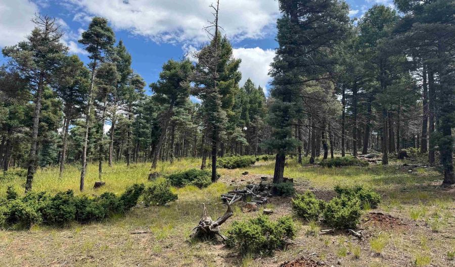 S Vail Overlook lot 310, Angel Fire, NM 87710 - 0 Beds, 0 Bath
