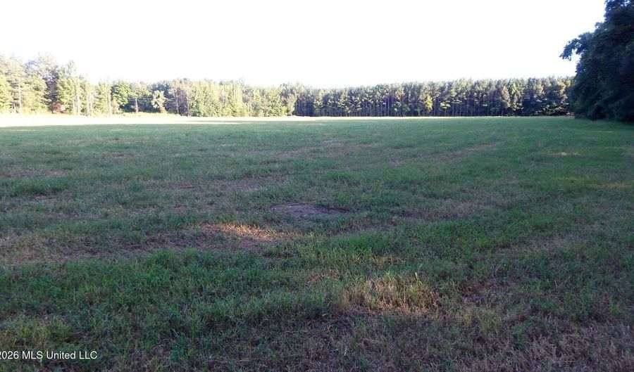 595 County Road 247, Bruce, MS 38915 - 0 Beds, 0 Bath