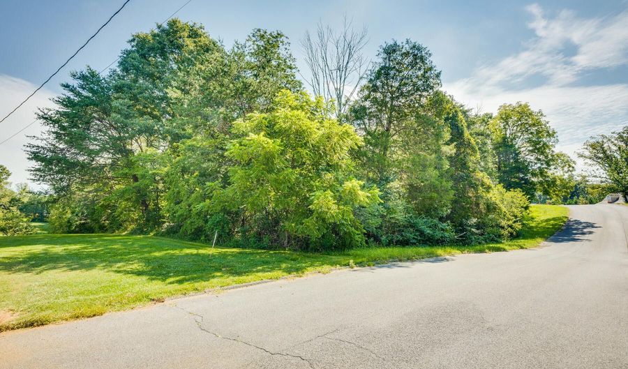 Lot 4 Sturbridge Lane, Church Hill, TN 37642 - 0 Beds, 0 Bath