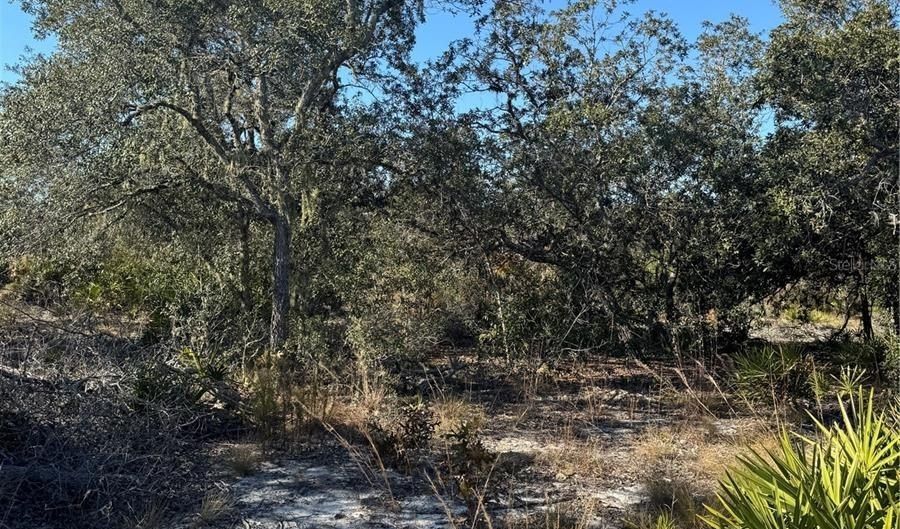 NE 123RD CT, Archer, FL 32618 - 0 Beds, 0 Bath