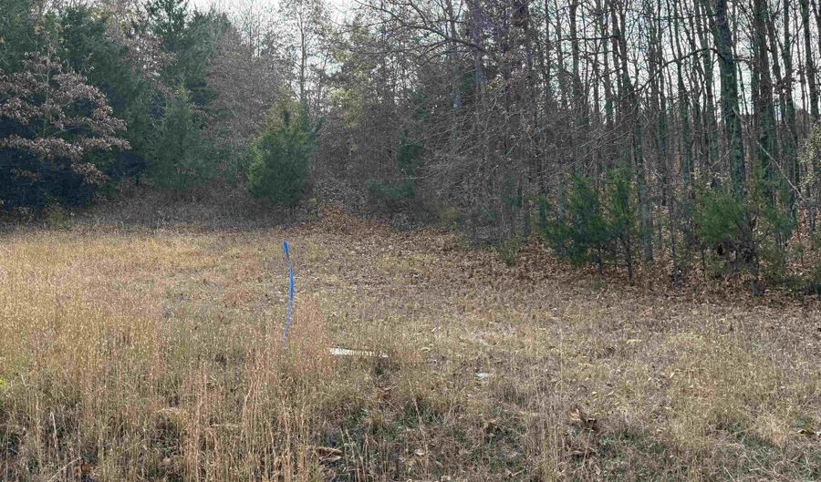Tract 51 Rainbow Lake Road, Austin, AR 72007 - 0 Beds, 0 Bath