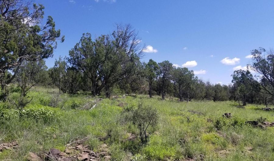 1550 W Joseph Dr, Ash Fork, AZ 86320 - 0 Beds, 0 Bath