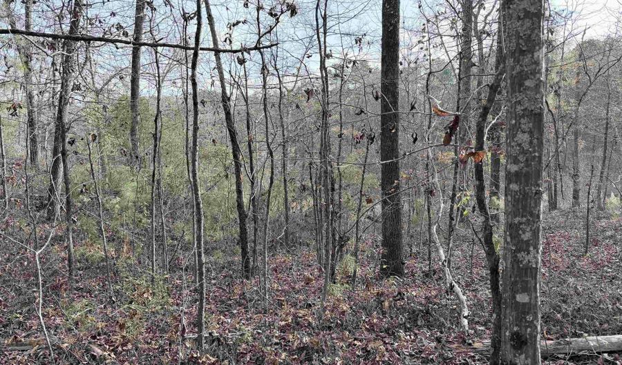 AEPEAN WAY lot 82, Alpine, AL 35014 - 0 Beds, 0 Bath