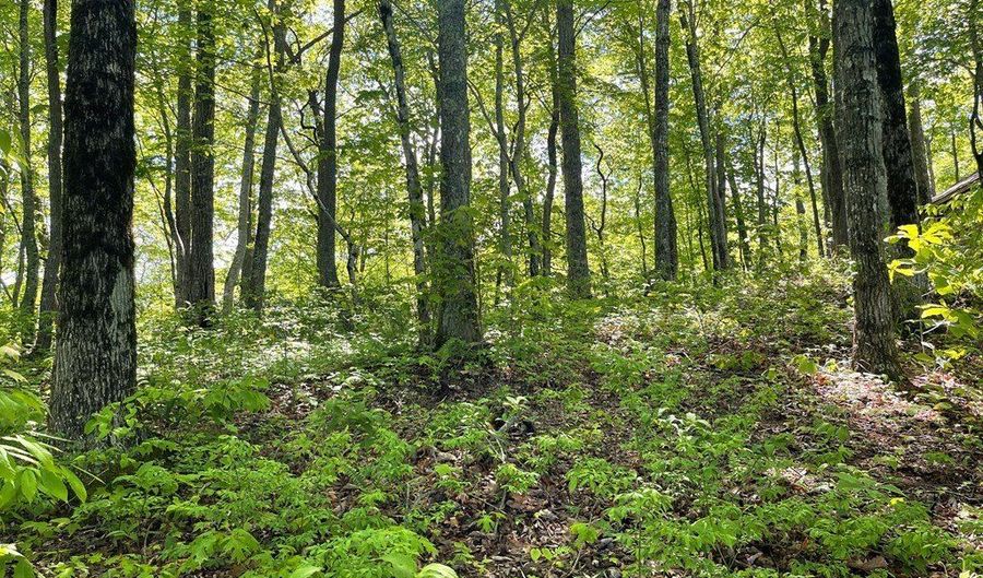 Lot 22 Laramie Heights 22, Andrews, NC 28901 - 0 Beds, 0 Bath
