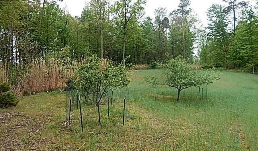 15252 27 Mile Rd, Albion, MI 49224 - 0 Beds, 0 Bath