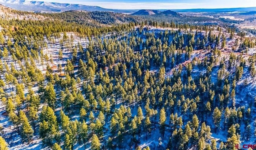 TBD Lot 13 Beaver Creek Ranch Drive, Bayfield, CO 81122 - 0 Beds, 0 Bath