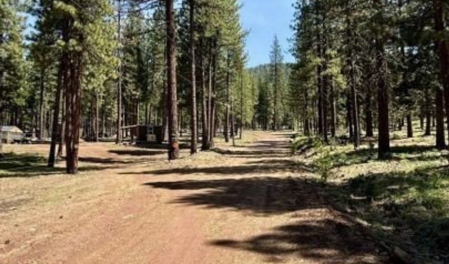 77 Timber Ln, Adin, CA 96006 - 2 Beds, 1 Bath