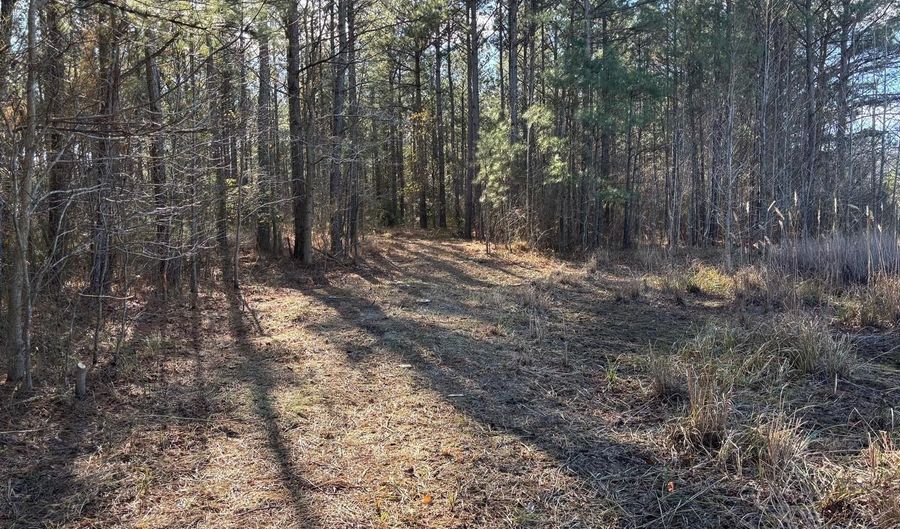 LOT 4B MOLLYFIELD ROAD, Dagsboro, DE 19939 - 0 Beds, 0 Bath