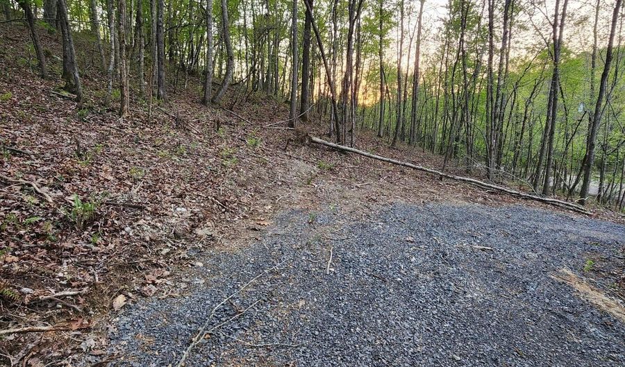 4622 Parker Loop Rd, Birchwood, TN 37308 - 0 Beds, 0 Bath