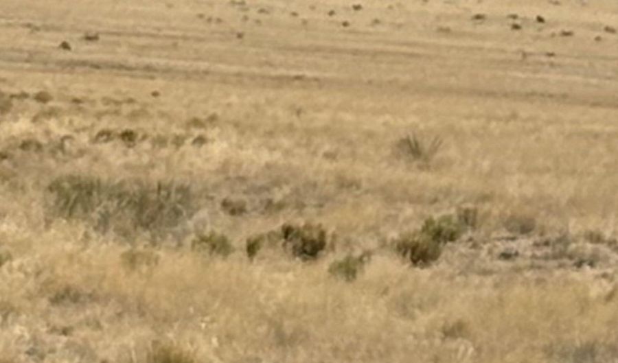 21 Mora Dr, Belen, NM 87002 - 0 Beds, 0 Bath