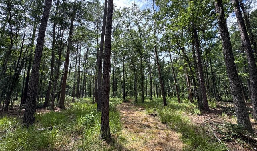 Fox Paw Court, Branchville, SC 29432 - 0 Beds, 0 Bath