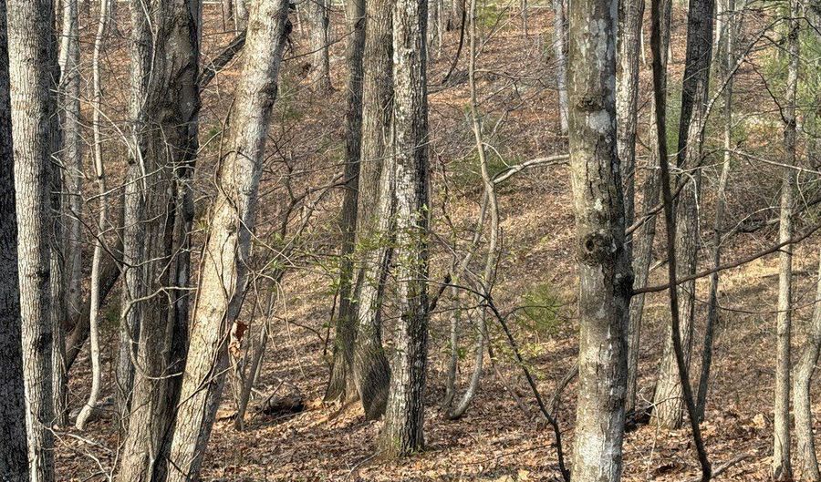 Lime Plant Road lot 6, Appomattox, VA 24522 - 0 Beds, 0 Bath