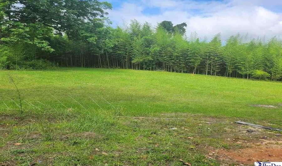 123 Livingston, Bennettsville, SC 29512 - 0 Beds, 0 Bath