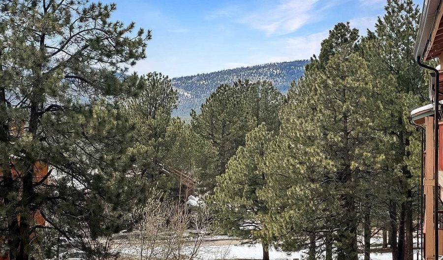 25 Jackson Hole 241, Angel Fire, NM 87710 - 2 Beds, 2 Bath