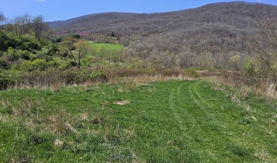 Tbd Clear Fork Creek Road, Bastian, VA 24314 - 0 Beds, 0 Bath