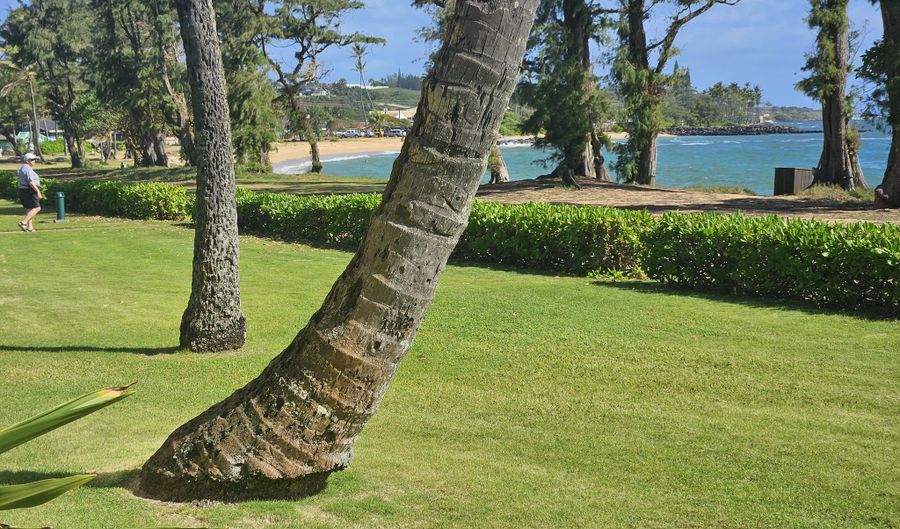 4-1250 KUHIO Hwy C107, Kapaa, HI 96746 - 2 Beds, 2 Bath