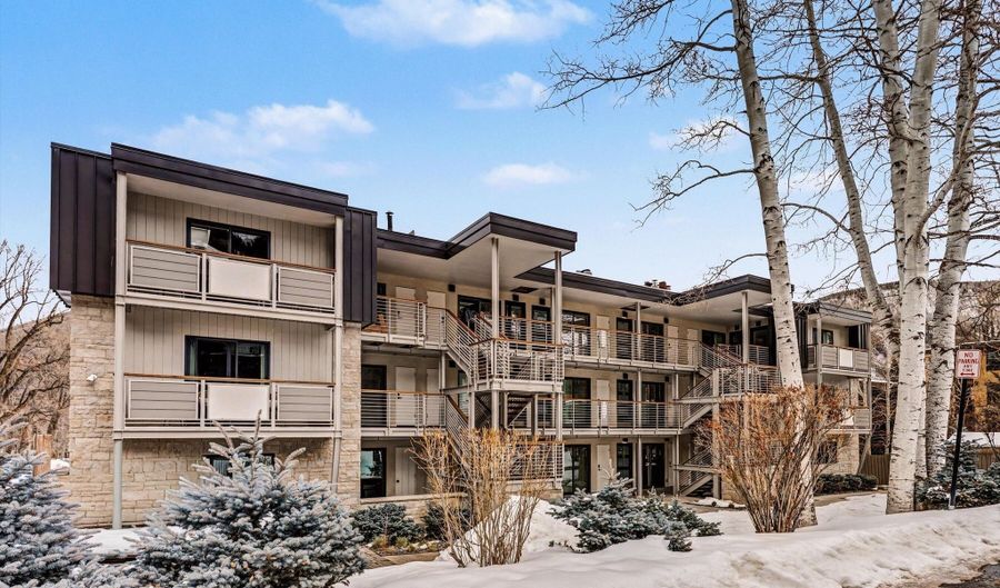 100 E Dean St 3C, Aspen, CO 81611 - 1 Beds, 1 Bath