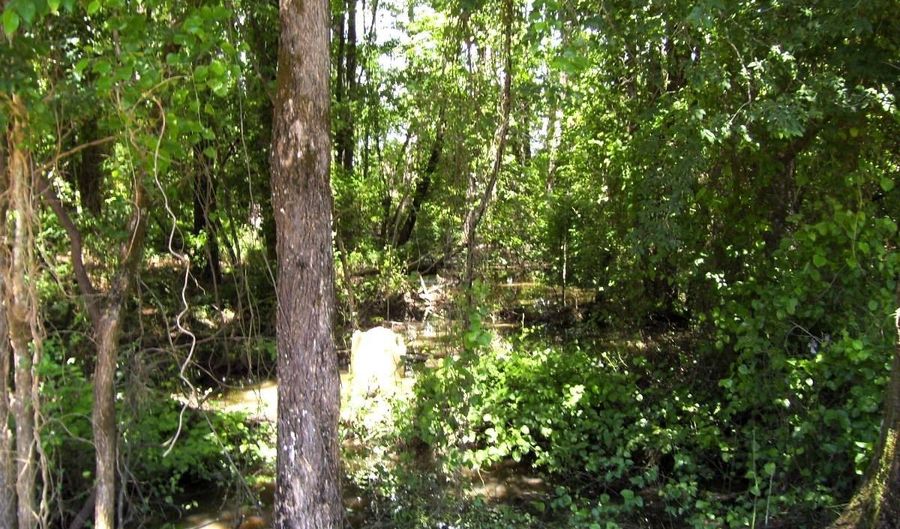 263 LR 182, Ashdown, AR 71822 - 0 Beds, 0 Bath