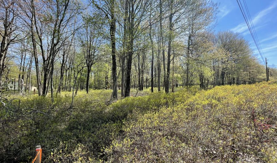 Forest Hill Drive, Blakeslee, PA 18610 - 0 Beds, 0 Bath