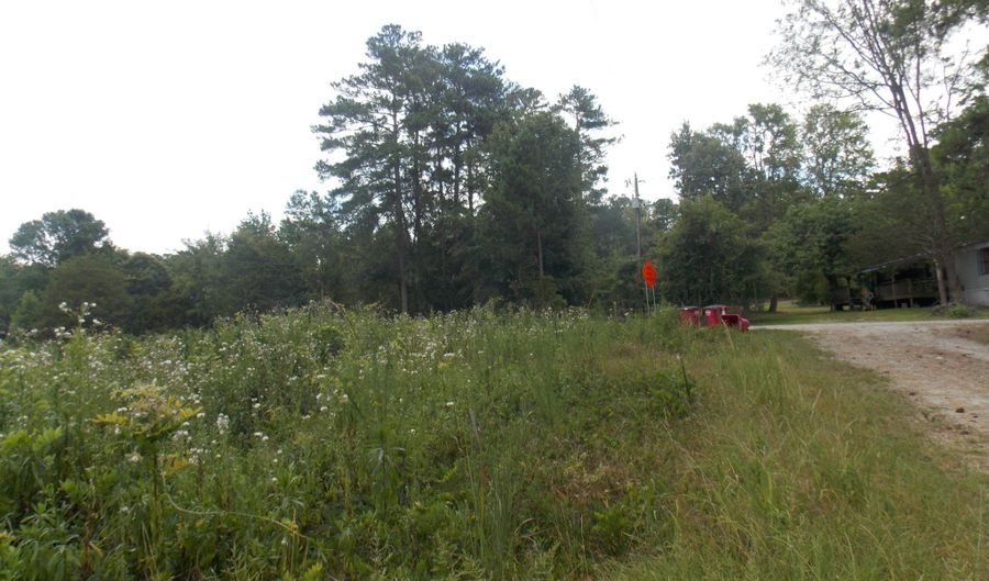 00 Chamberlain Ferry Rd, Lincolnton, GA 30817 - 0 Beds, 0 Bath