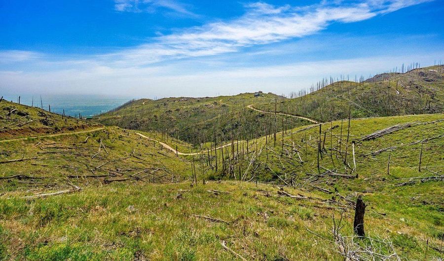 1600 Whale Rock Rd, Bellvue, CO 80512 - 0 Beds, 0 Bath