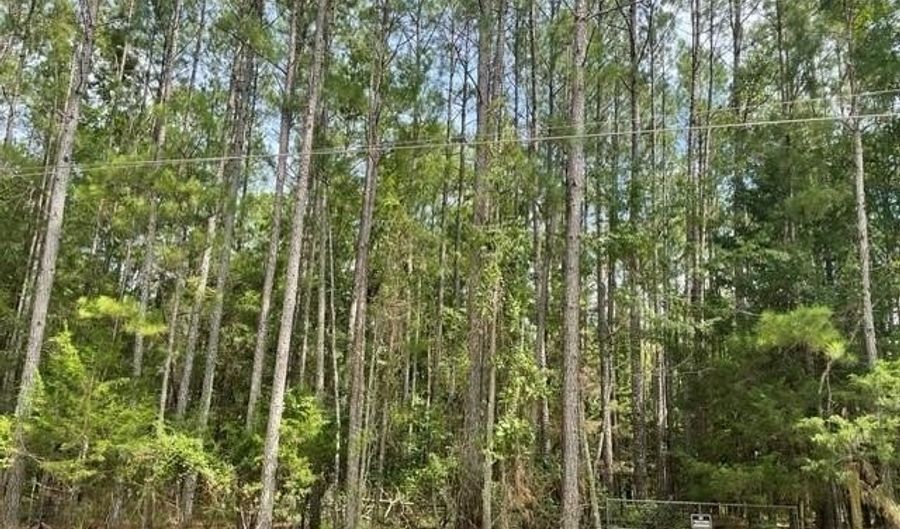 6856 Cottonwood Dr, Appling, GA 30802 - 0 Beds, 0 Bath