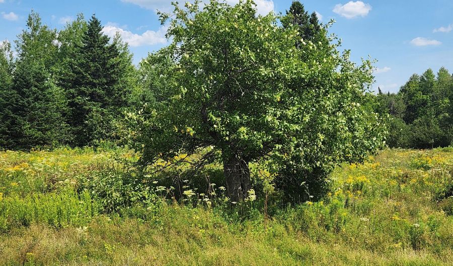 484 Masardis Rd, Ashland, ME 04732 - 0 Beds, 0 Bath