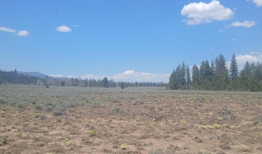 Toddy Drive Lots 18,19,&20, Beatty, OR 97621 - 0 Beds, 0 Bath