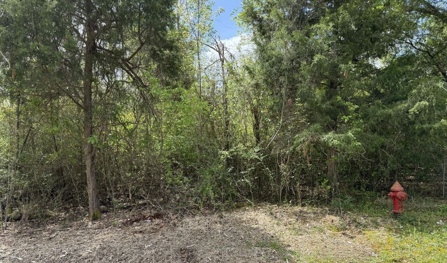 Westwood Drive lot 13, Alford, FL 32420 - 0 Beds, 0 Bath