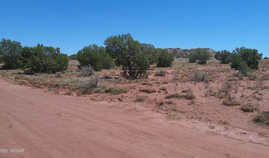 Tbd Ranch of the White Mountains10, Concho, AZ 85924 - 0 Beds, 0 Bath