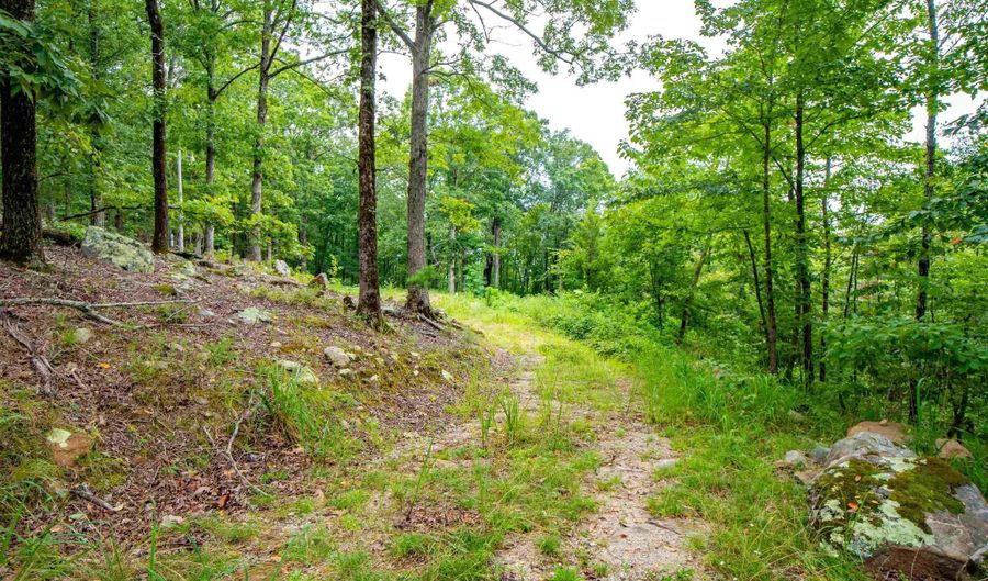 100 Block SPANISH MINE, Jessieville, AR 71909 - 0 Beds, 0 Bath