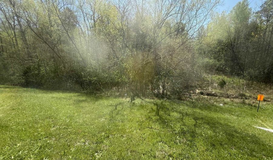 TRACT 2 W MAIN, Adamsville, TN 38310 - 0 Beds, 0 Bath