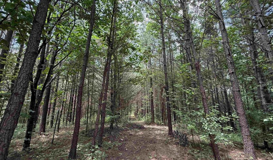25 Acres Silo Rd, Altoona, AL 35952 - 0 Beds, 0 Bath