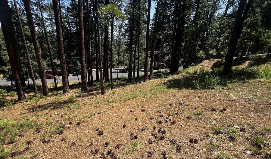 2904 Venado Dr, Arnold, CA 95223 - 0 Beds, 0 Bath