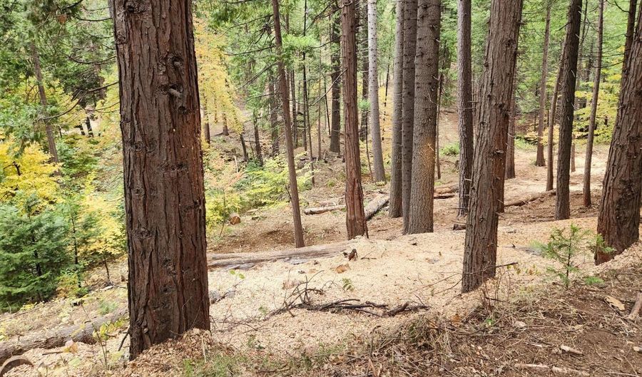 4337 Lakemont Dr, Arnold, CA 95223 - 0 Beds, 0 Bath