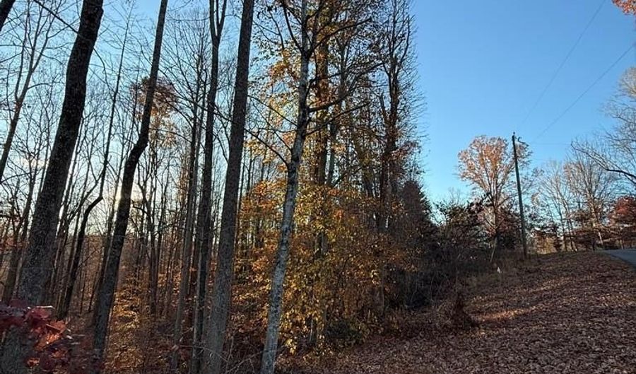 0 Columbus Dr, Bassett, VA 24055 - 0 Beds, 0 Bath