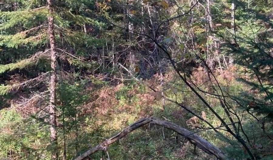 9165 Afton Rd, Afton, MI 49705 - 0 Beds, 0 Bath