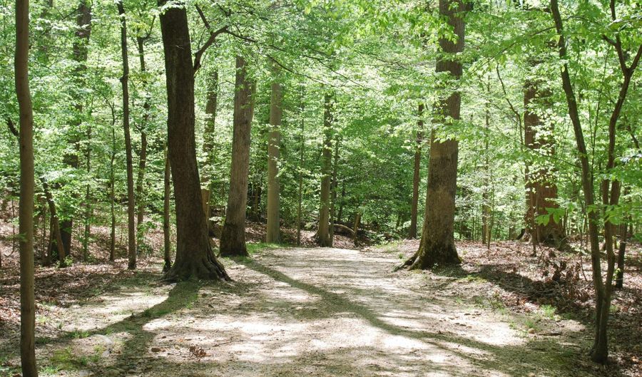 Parcel 45 BRYAN POINT Road, Accokeek, MD 20607 - 0 Beds, 0 Bath