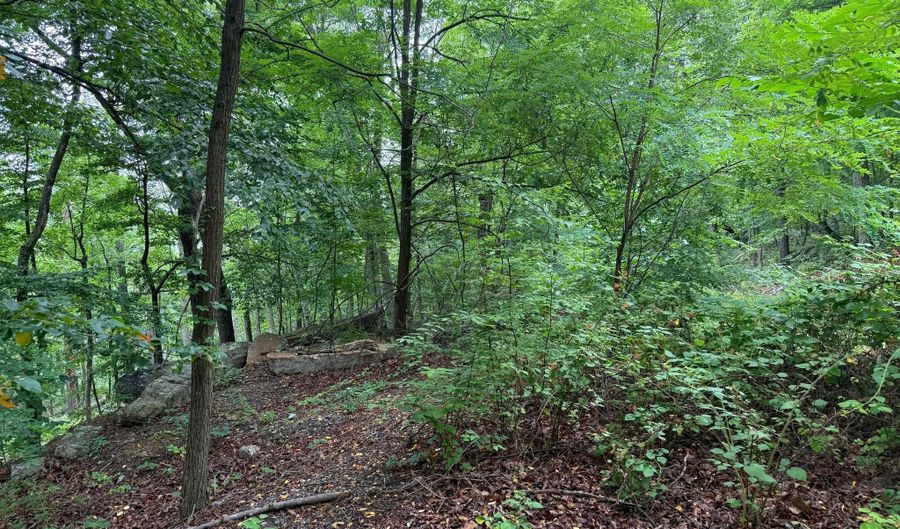 TR D-15 DEER PATH Road, Augusta, WV 26704 - 0 Beds, 0 Bath