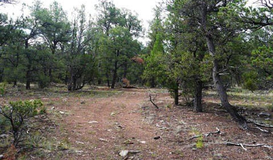 Blue water, Bluewater, NM 87005 - 0 Beds, 0 Bath